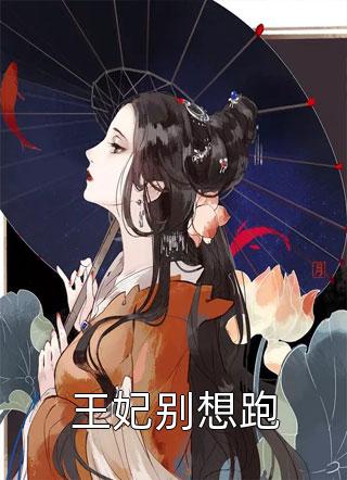 小说清夜无尘，明月无缺沈策安白舒全章节免费阅读